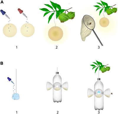 Floral Volatiles: A Promising Method to Access the Rare Nocturnal and Crepuscular Bees